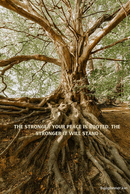 Picture of tree with roots. Quote says: The stronger your peace is rooted, the stronger it will stand.