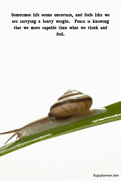 Picture of snail on a blade of grass.  Quote says: sometimes life seems uncertain and feels like we are carrying a heavy weight.  Peace is knowing that we are more capable than what we think and feel.